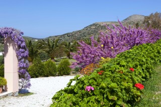 casa-del-sol-eco-friendly-garden-view
