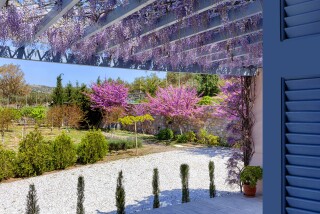 casa-del-sol-eco-friendly-gardens